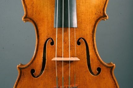 violin2341
